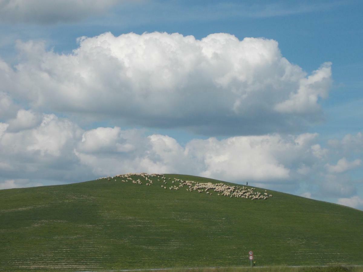 Penzion Casale Le Querciole Castiglione dʼOrcia Exteriér fotografie
